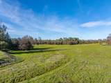 15525 Bowman Road - Photo 87