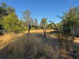 6513 Lulu Lane - Photo 15