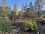 6513 Lulu Lane - Photo 16