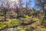  Bear Mountain Road - Photo 4