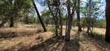  Lot 32 Shoshoni Loop - Photo 1