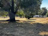 20450 Terry Ln. - Photo 8