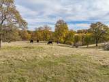 14000 Cub Trail - Photo 132