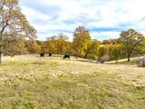 14000 Cub Trail - Photo 141