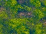 0000 Spring Creek Road - Photo 12