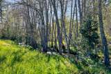 1040 Mullane Trail - Photo 33