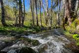 1040 Mullane Trail - Photo 4