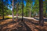 7453 Shasta Forest Drive - Photo 72