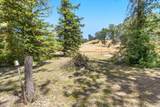 21778 Shady Oak Lane - Photo 45