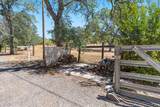 21778 Shady Oak Lane - Photo 48