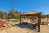 13105 Bear Mountain Road - Photo 55