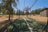 13105 Bear Mountain Road - Photo 63