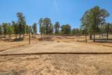 13105 Bear Mountain Road - Photo 68