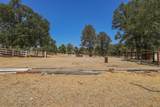 13105 Bear Mountain Road - Photo 69
