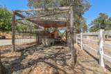 13105 Bear Mountain Road - Photo 72