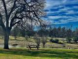 18355 April Island Way - Photo 103