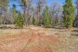11395 Bosworth Lane - Photo 38
