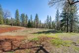 11395 Bosworth Lane - Photo 48