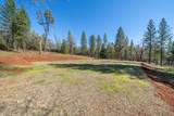 11395 Bosworth Lane - Photo 49