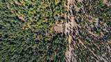  32995 Alinn Pass Road - Photo 4