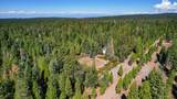  32995 Alinn Pass Road - Photo 6
