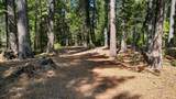  32995 Alinn Pass Road - Photo 8
