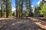  32995 Alinn Pass Road - Photo 9