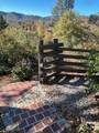 17858 Leisure Lane - Photo 49