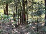  Waterleaf Lane - Photo 47