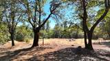 29297 Johnson Ranch Road - Photo 42