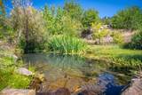 20441 Cove Road - Photo 2