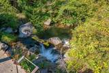 20441 Cove Road - Photo 5