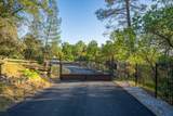 21235 Albatross Way - Photo 3
