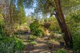 21235 Albatross Way - Photo 43