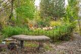 21235 Albatross Way - Photo 46