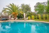 21235 Albatross Way - Photo 49