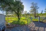 21235 Albatross Way - Photo 70