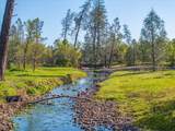 21235 Albatross Way - Photo 81