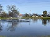22832 Rio Alto Drive - Photo 48