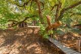 751 Mule Gulch Road - Photo 38