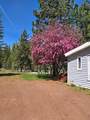 715 Pine Drive - Photo 1
