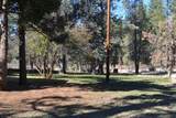 715 Pine Drive - Photo 10