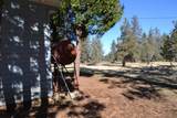 715 Pine Drive - Photo 60