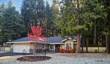 35379 Nehemiah Drive - Photo 37