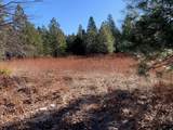 Lot 34 Princess Pine - Photo 6