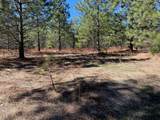 Lot 34 Princess Pine - Photo 8