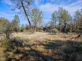 42 acres Ash Creek Road - Photo 12