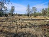 42 acres Ash Creek Road - Photo 13