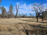 42 acres Ash Creek Road - Photo 14