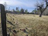 42 acres Ash Creek Road - Photo 15